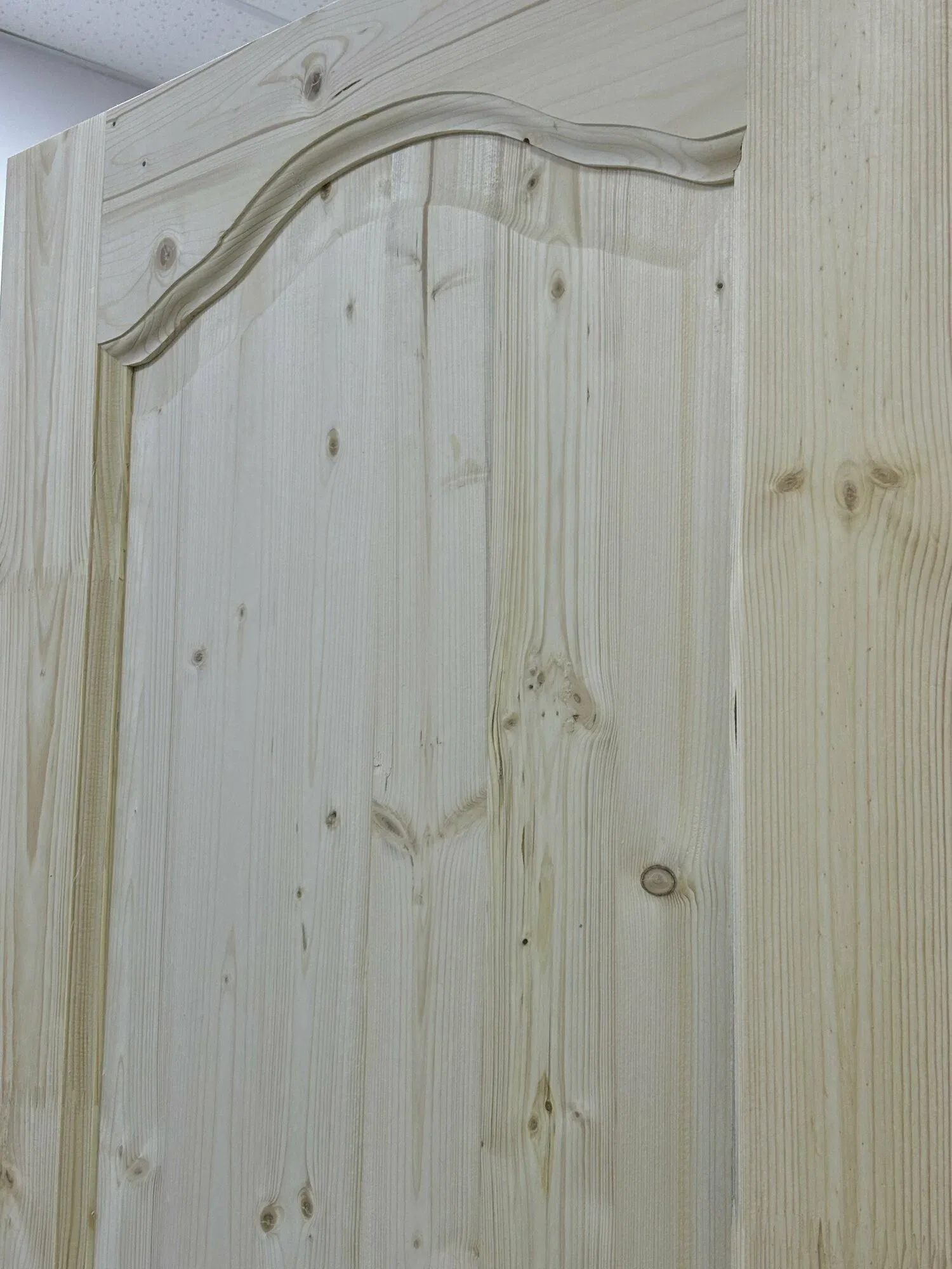 Каролина ДГ