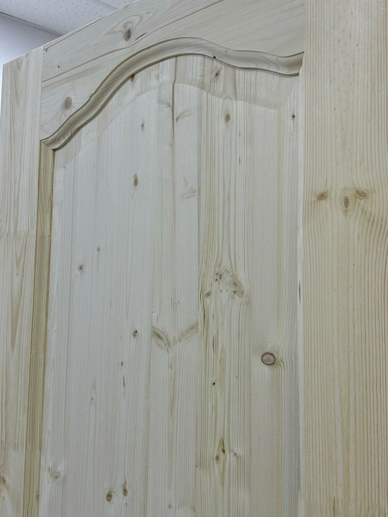 Каролина ДГ