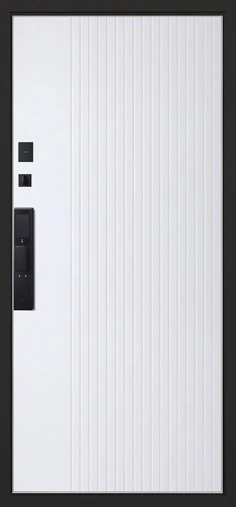 Дизайн с биометрическим замком